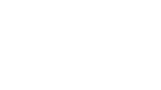 Brainvire Logo