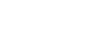 Raapyd Logo